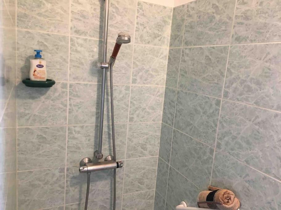 Appartement 55M2 En Beaujolais & Enedis A 15 Min Saint-Germain-Nuelles Bagian luar foto
